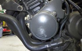 HONDA HORNET 250 2010 MC31