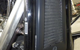 HARLEY FLFB 1750 2019