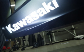 KAWASAKI NINJA 250 2 2008 EX250P