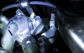 HONDA GIORNO 3 2009 AF77