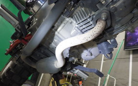 HONDA MONKEY 125 ABS 2024 JB02