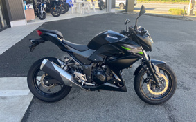 KAWASAKI Z250 ER250C