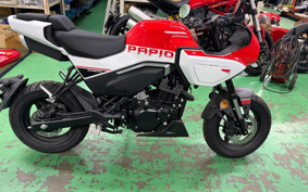 OTHER CFMOTO XO-1 PAPIO