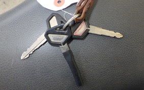 KAWASAKI SUPER SHERPA KL250G