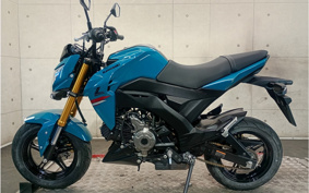 KAWASAKI Z125 PRO BR125H
