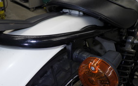 KAWASAKI 250TR 2024 BJ250F