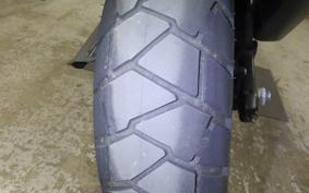 HARLEY ﾊﾟﾝ AMERICA1250S 2021