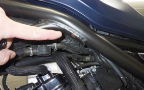 HONDA REBEL 250 A MC49