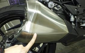 KAWASAKI Z1000 SX 2018