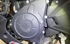 YAMAHA MT-25 2024 RG43J