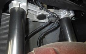 KAWASAKI NINJA 1000 SX 2023 ZXT02K