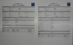 YAMAHA YZF-R25 A 2005 RG43J