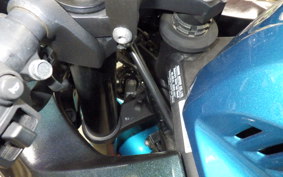 YAMAHA YZF-R25 A 2021 RG43J