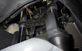 KAWASAKI NINJA 250 EX250L