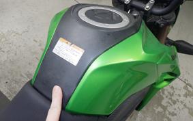 KAWASAKI Z125 PRO 2010 BR125H