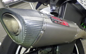 KAWASAKI NINJA ZX-6R A 2021 ZX636G