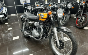 KAWASAKI W800 FE 2020 EJ800A