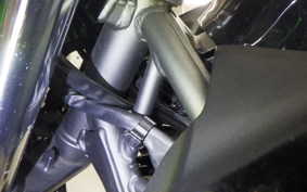 KAWASAKI Z250 Gen.2 2023 EX250Y