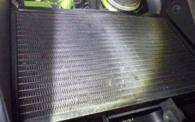 KAWASAKI NINJA 250 SL 2007