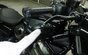 HARLEY RH975 2022