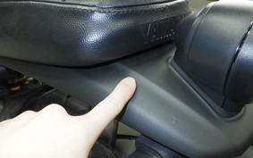 YAMAHA XSR125 2024 RE46J
