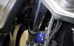 BMW R1300RT ASA 2025