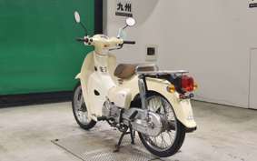 HONDA C110 SUPER CUB 2024 JA44