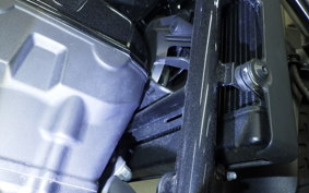 HONDA REBEL 250 2018 MC49