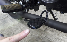 OTHER +GPX LEGEND150S 2025