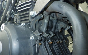 HONDA HORNET 250 2025 MC31