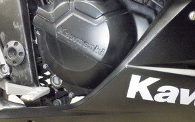 KAWASAKI NINJA 250 ABS EX250L