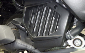 HONDA DUNK 2019 AF78