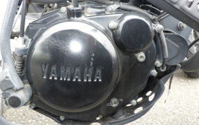 YAMAHA TW225 DG09J