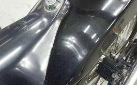 KAWASAKI W800 STREET 2022 EJ800E