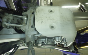 YAMAHA WR250R 2023 DG15J