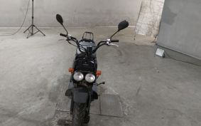 HONDA ZUMAR AF58