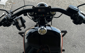 HARLEY FXBBS 2021 YYK