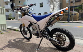 YAMAHA WR250R DG15J