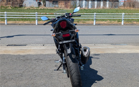 SUZUKI GSX250R DN11A