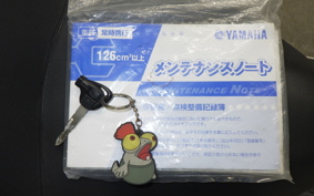 YAMAHA MAJESTY155 S SG28J