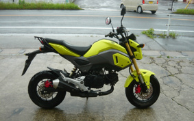 HONDA GROM JC61