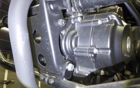 HONDA REBEL 250 A MC49