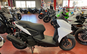 YAMAHA FORCE ABS SG79J