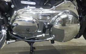 HARLEY XL1200XS 2019