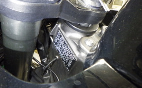 KAWASAKI NINJA 1000 2011