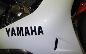YAMAHA XSR900 GP 2024 RN96J