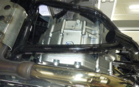 KAWASAKI W230 2022 BJ230A