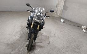 TRIUMPH TRIUMPH TIGER 800 TRE10B