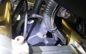 TRIUMPH TIGER 800 2012