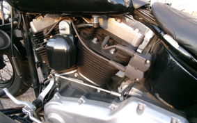 HARLEY FLS 2012 JR5
